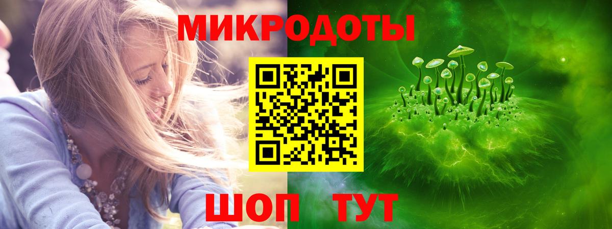 Махачкала  Псилоцибиновые грибы мухоморы  Вход с VPN  Псилоцибиновые грибы Psilocybe 